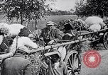 Standbild Runde der Verdächtigen von Bydgoszcz oder Bromberg Polen, 1939, aus Sekunde 5 historischem Filmmaterial Videoclip 65675074041