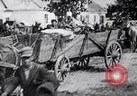 Standbild Runde der Verdächtigen von Bydgoszcz oder Bromberg Polen, 1939, aus Sekunde 8 historischem Filmmaterial Videoclip 65675074041
