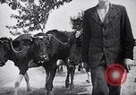 Standbild Runde der Verdächtigen von Bydgoszcz oder Bromberg Polen, 1939, aus Sekunde 10 historischem Filmmaterial Videoclip 65675074041