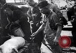 Image of German troops Poland, 1939, second 49 stock footage video 65675074044