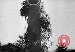 Image of Westwall Germany, 1939, second 22 stock footage video 65675074050
