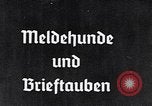 Immagine di I canini Germania, 1940, secondo 1 filmato di repertorio 65675074056