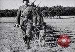 Immagine di I canini Germania, 1940, secondo 3 filmato di repertorio 65675074056