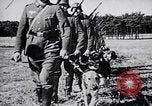 Immagine di I canini Germania, 1940, secondo 4 filmato di repertorio 65675074056