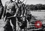 Immagine di I canini Germania, 1940, secondo 5 filmato di repertorio 65675074056
