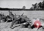 Immagine di I canini Germania, 1940, secondo 7 filmato di repertorio 65675074056