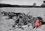 Immagine di I canini Germania, 1940, secondo 8 filmato di repertorio 65675074056