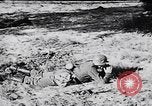 Immagine di I canini Germania, 1940, secondo 13 filmato di repertorio 65675074056