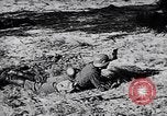 Immagine di I canini Germania, 1940, secondo 15 filmato di repertorio 65675074056