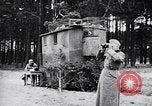 Immagine di I canini Germania, 1940, secondo 23 filmato di repertorio 65675074056