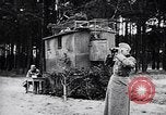 Immagine di I canini Germania, 1940, secondo 24 filmato di repertorio 65675074056