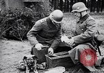 Immagine di I canini Germania, 1940, secondo 26 filmato di repertorio 65675074056