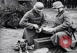 Immagine di I canini Germania, 1940, secondo 27 filmato di repertorio 65675074056