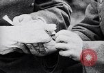 Immagine di I canini Germania, 1940, secondo 31 filmato di repertorio 65675074056