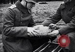 Immagine di I canini Germania, 1940, secondo 35 filmato di repertorio 65675074056