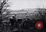 Immagine di I canini Germania, 1940, secondo 43 filmato di repertorio 65675074056