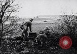 Immagine di I canini Germania, 1940, secondo 45 filmato di repertorio 65675074056
