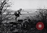 Immagine di I canini Germania, 1940, secondo 46 filmato di repertorio 65675074056