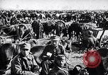 Immagine di I prigionieri di guerra Polonia, 1939, secondo 18 filmato di repertorio 65675074060