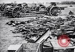 Immagine di I prigionieri di guerra Polonia, 1939, secondo 28 filmato di repertorio 65675074060