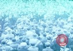 Image of Sir Oswald Mosley speaks Manchester England United Kingdom, 1936, second 1 stock footage video 65675074072