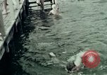 Image touristes nageant Carinthie Autriche, 1937, de la seconde 36 séquences d'archives historiques vidéo 65675074084