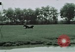 Image membres de la famille à la ferme Autriche, 1937, de la seconde 12 séquences d'archives historiques vidéo 65675074087