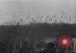 Image of Bridges destroyed by retreating German forces European Theater, 1945, second 36 stock footage video 65675074092