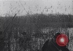Image of Bridges destroyed by retreating German forces European Theater, 1945, second 37 stock footage video 65675074092