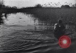 Image of Bridges destroyed by retreating German forces European Theater, 1945, second 40 stock footage video 65675074092