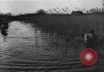 Image of Bridges destroyed by retreating German forces European Theater, 1945, second 43 stock footage video 65675074092