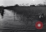 Image of Bridges destroyed by retreating German forces European Theater, 1945, second 44 stock footage video 65675074092