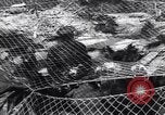 Image of Soviet Marshal Georgy Zhukov and staff under camouflage netting at the front Berlin Germany, 1945, second 6 stock footage video 65675074095