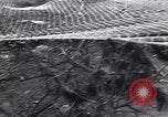 Image of Soviet Marshal Georgy Zhukov and staff under camouflage netting at the front Berlin Germany, 1945, second 24 stock footage video 65675074095