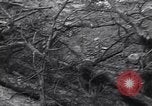 Image of Soviet Marshal Georgy Zhukov and staff under camouflage netting at the front Berlin Germany, 1945, second 25 stock footage video 65675074095