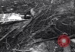 Image of Soviet Marshal Georgy Zhukov and staff under camouflage netting at the front Berlin Germany, 1945, second 28 stock footage video 65675074095