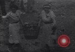 Image of German Panzer III tanks parade in Berlin residential area Berlin Germany, 1945, second 1 stock footage video 65675074099
