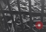 Image of Soviets round up German prisoners of war in Berlin Berlin Germany, 1945, second 27 stock footage video 65675074104