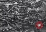 Image of Soviets round up German prisoners of war in Berlin Berlin Germany, 1945, second 32 stock footage video 65675074104