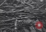 Image of Soviets round up German prisoners of war in Berlin Berlin Germany, 1945, second 34 stock footage video 65675074104