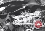 Image of Soviet troops collect souvenirs in Berlin Berlin Germany, 1945, second 4 stock footage video 65675074106