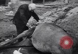 Image of Soviet troops capturing Berlin in World War II Berlin Germany, 1945, second 14 stock footage video 65675074108