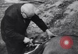 Image of Soviet troops capturing Berlin in World War II Berlin Germany, 1945, second 16 stock footage video 65675074108