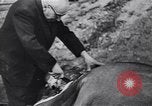 Image of Soviet troops capturing Berlin in World War II Berlin Germany, 1945, second 18 stock footage video 65675074108