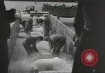 Image of First train entering Berlin after blockade Berlin Germany, 1949, second 29 stock footage video 65675074135