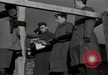 Image criminel de guerre nazi Bruchsal Allemagne, 1946, de la seconde 19 séquences d'archives historiques vidéo 65675074143