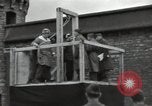 Standbild NS-Kriegsverbrecher Bruchsal Deutschland, 1946, aus Sekunde 39 historischem Filmmaterial Videoclip 65675074148