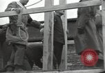 Standbild NS-Kriegsverbrecher Bruchsal Deutschland, 1946, aus Sekunde 42 historischem Filmmaterial Videoclip 65675074148
