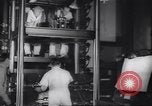 Immagine di Walt Disney Animation Studios Burbank California USA, 1943, secondo 12 filmato di repertorio 65675074182