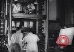 Immagine di Walt Disney Animation Studios Burbank California USA, 1943, secondo 13 filmato di repertorio 65675074182
